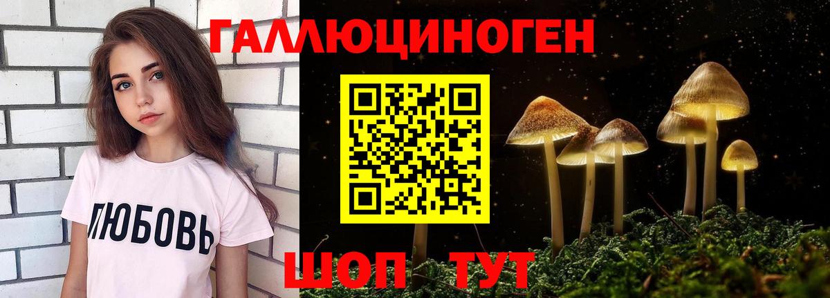 Псилоцибиновые грибы Psilocybine cubensis Воскресенск